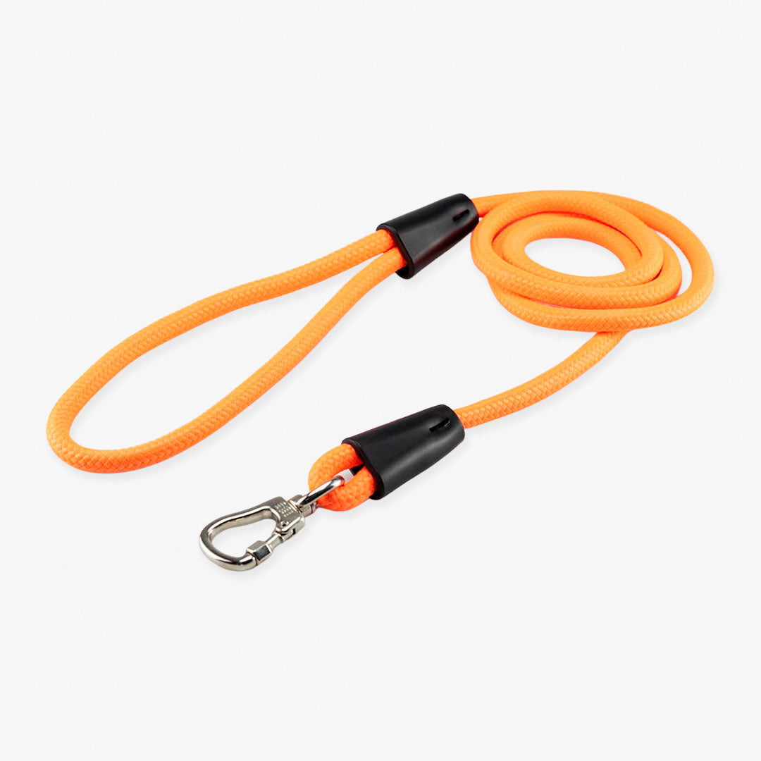 Guia de Corda para Cachorros 2 Metros Dog Trip Brasil