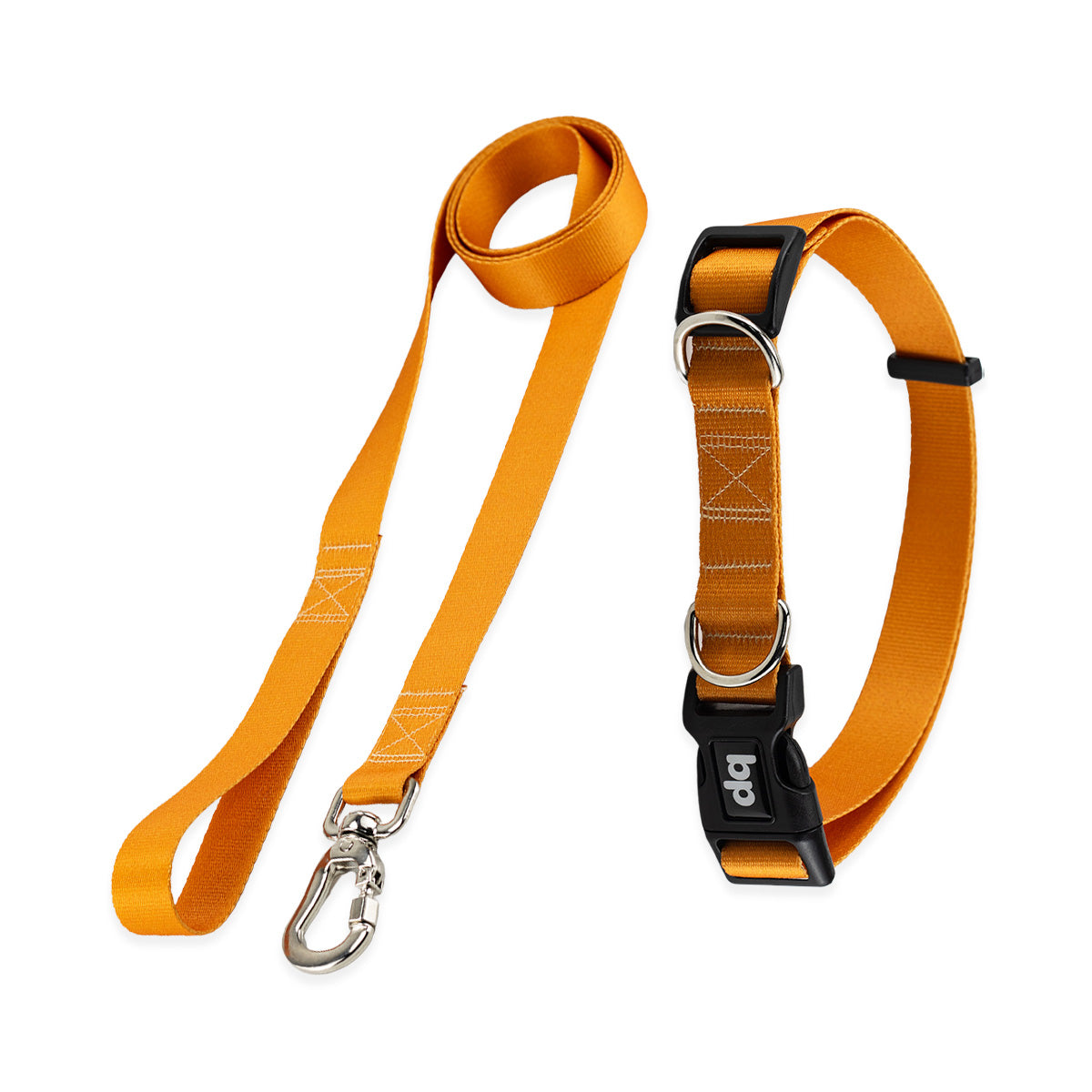 Kit Guia Padrão + Coleira Basic Pet