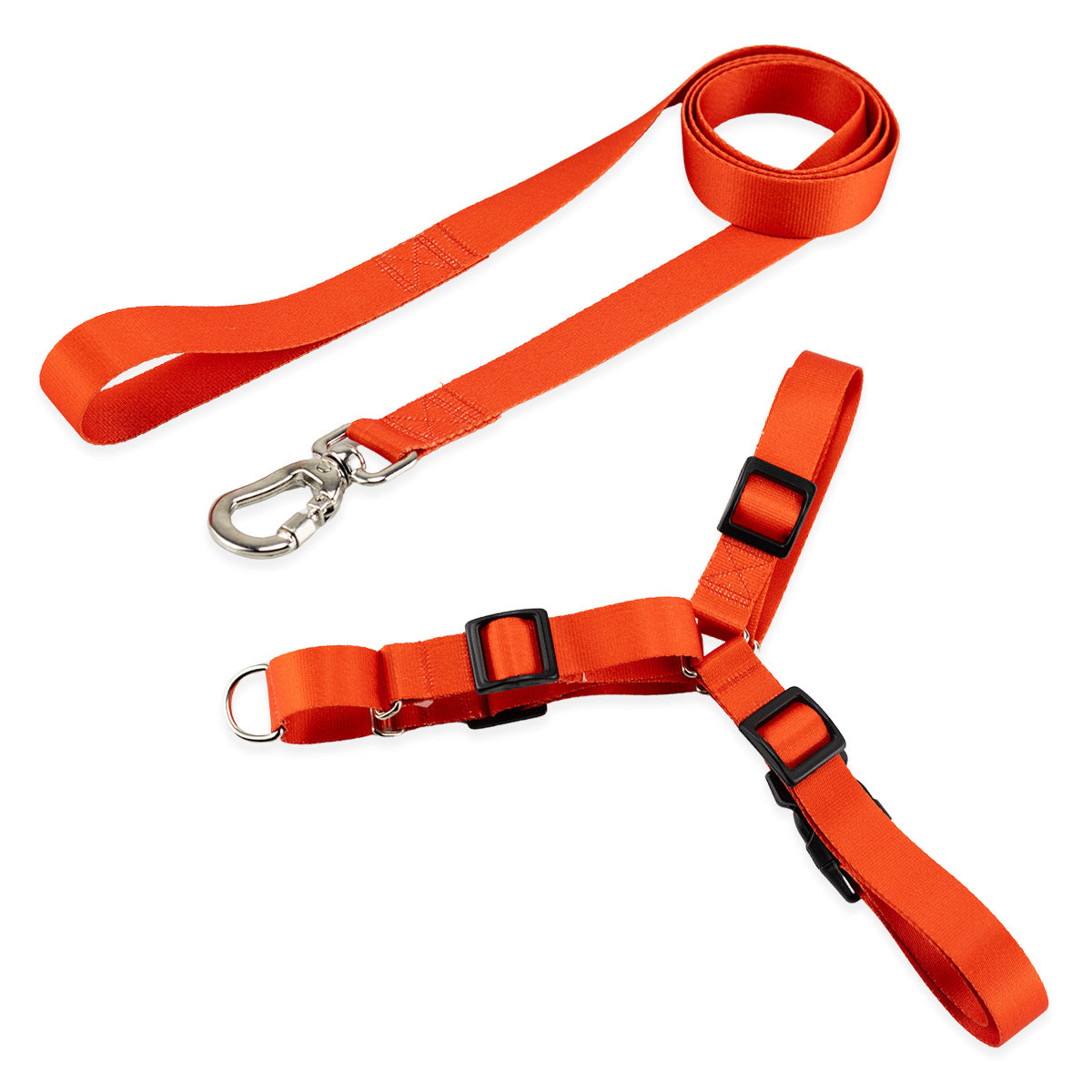 Kit Guia Padrão + Peitoral Antipuxão Basic Pet