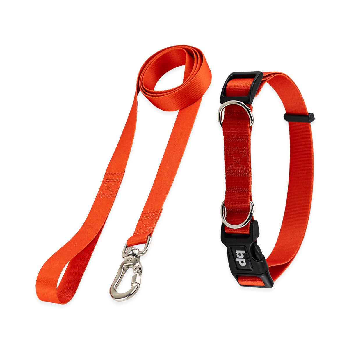 Kit Guia Padrão + Coleira Basic Pet