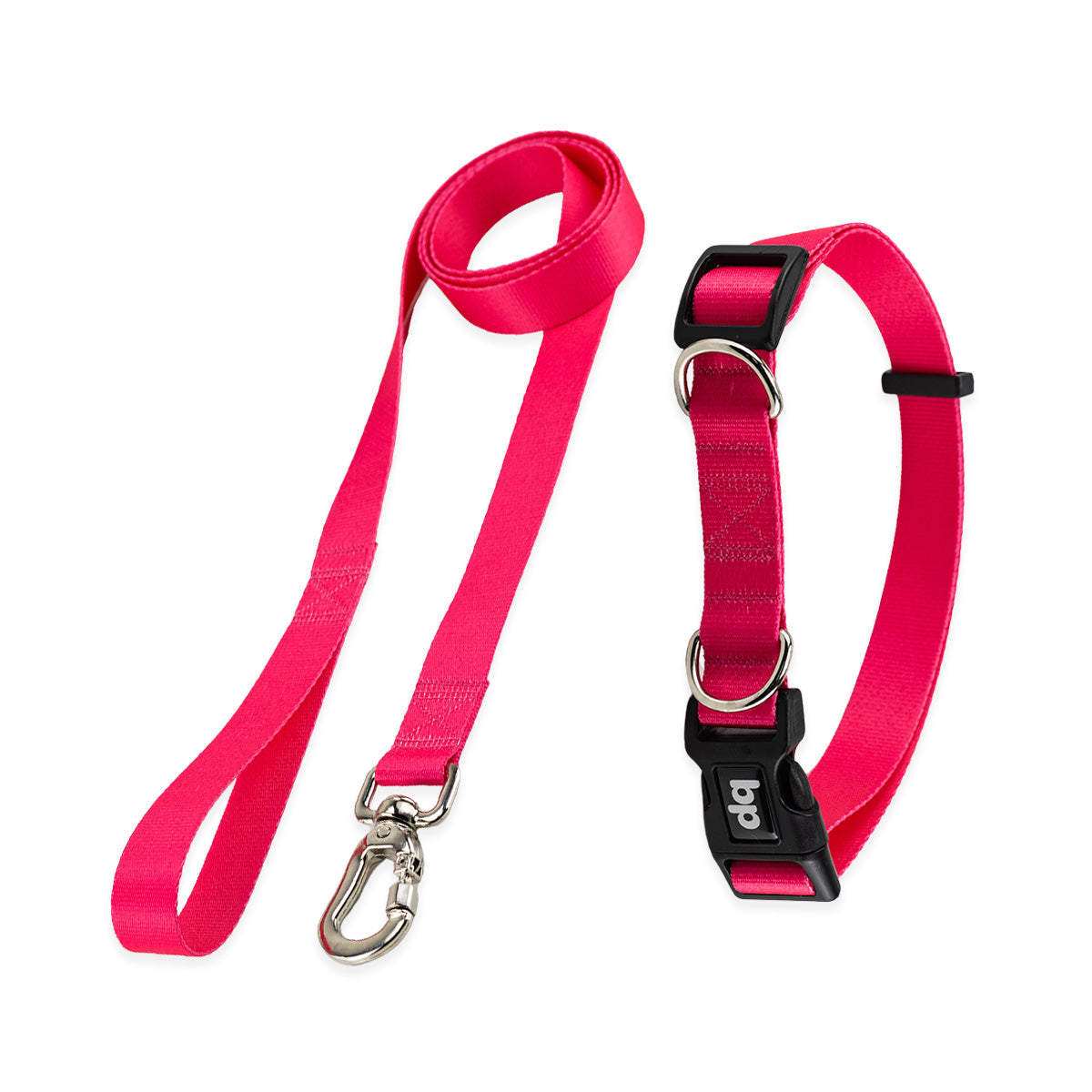 Kit Guia Padrão + Coleira Basic Pet