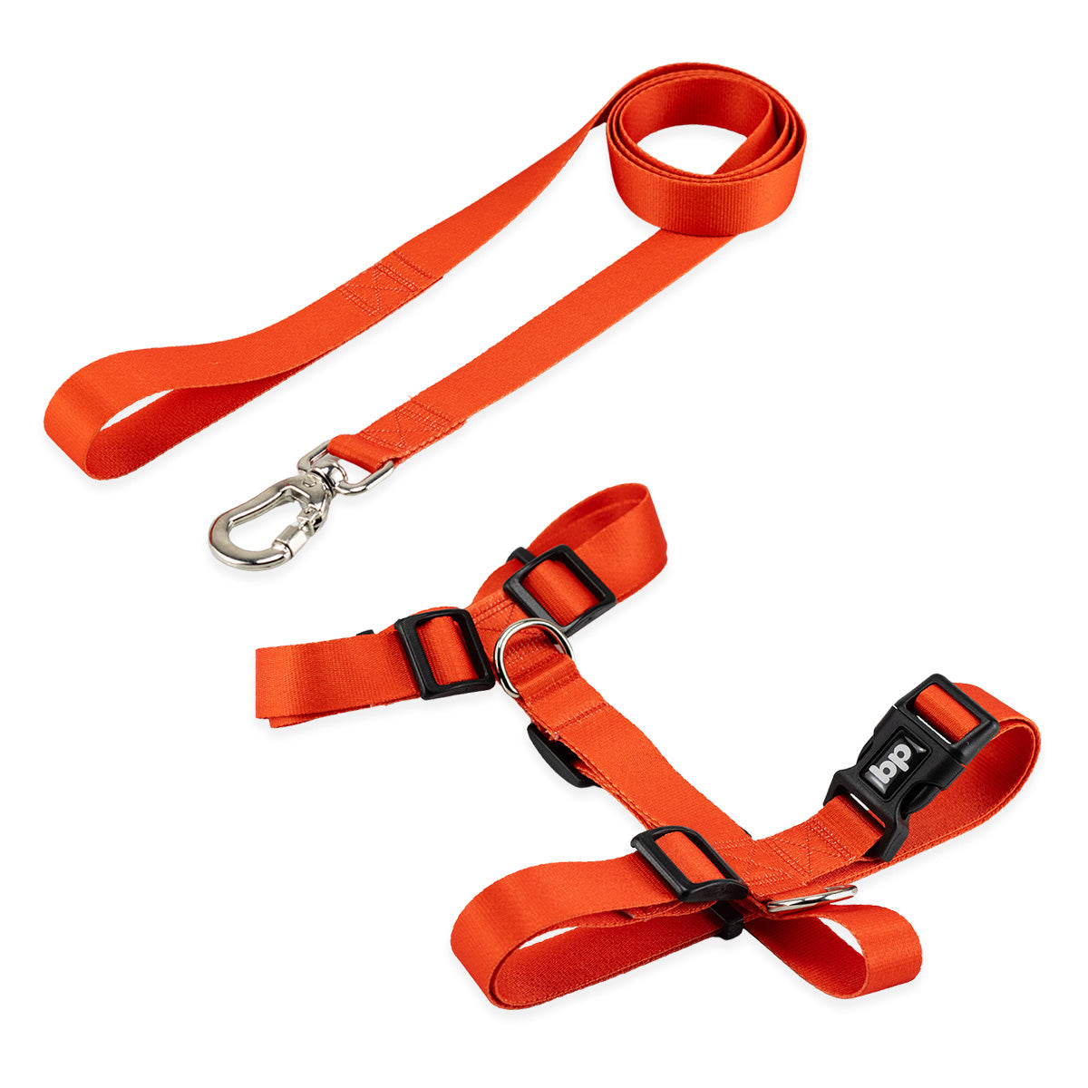 Kit Guia Padrão + Peitoral H Basic Pet
