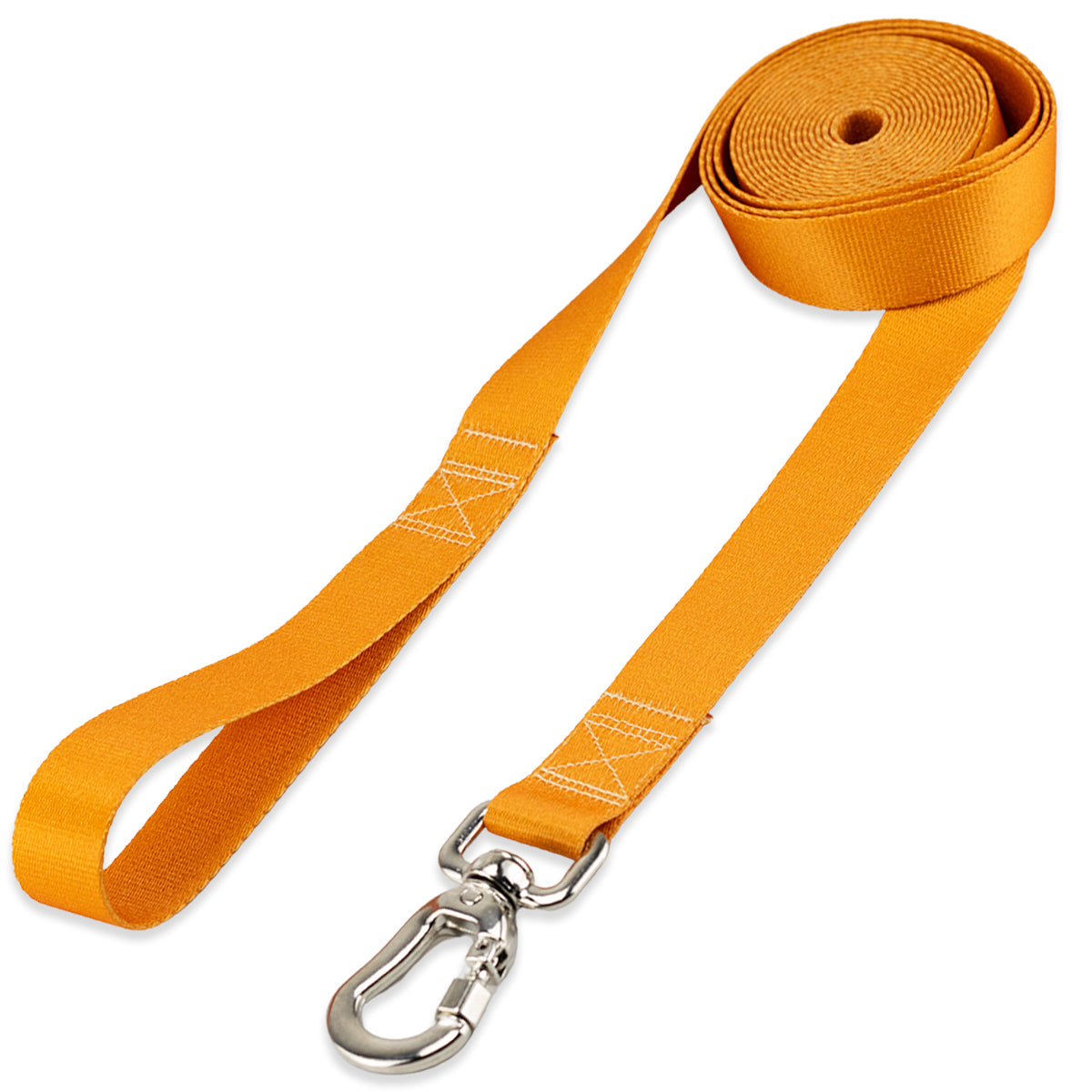 Guia Longa 5 Metros para Cachorros Basic Pet