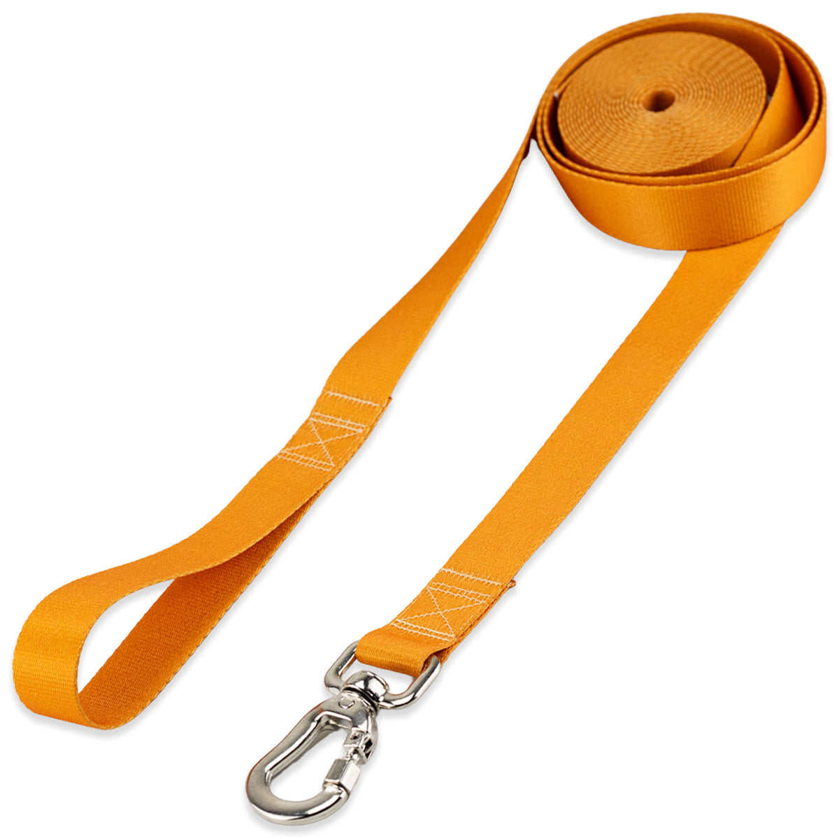 Guia Longa 10 Metros para Cachorros Basic Pet