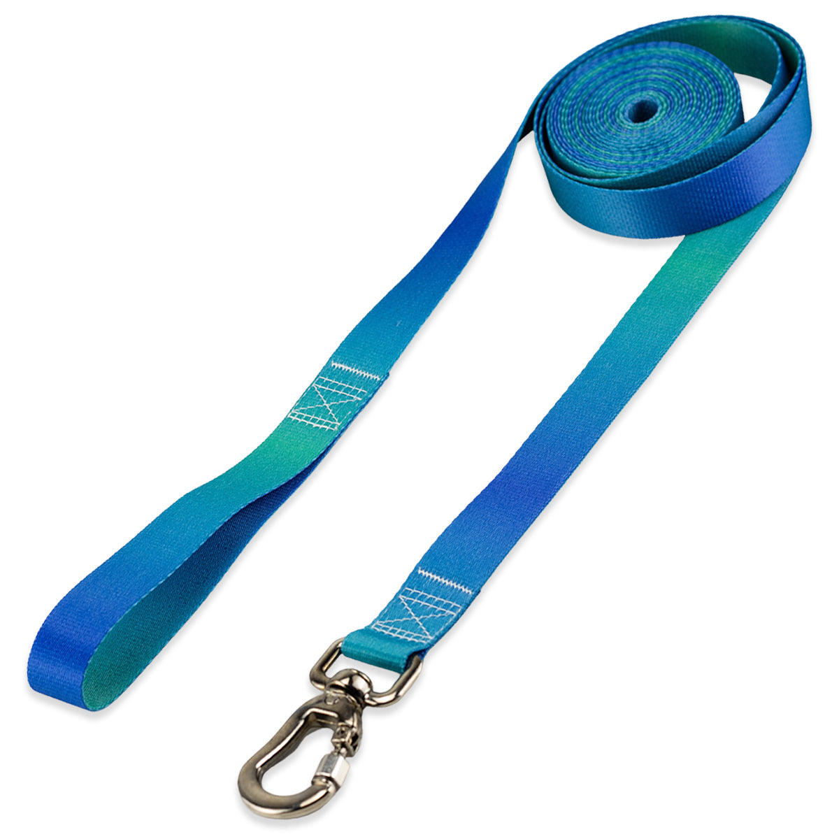 Guia Longa 10 Metros para Cachorros Lake Basic Pet