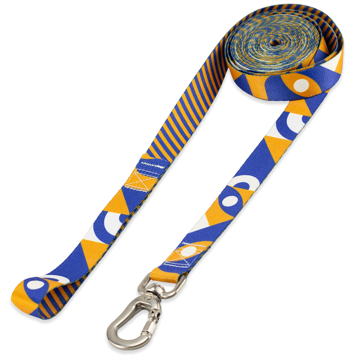 Guia Longa 10 Metros para Cachorros Moss Basic Pet