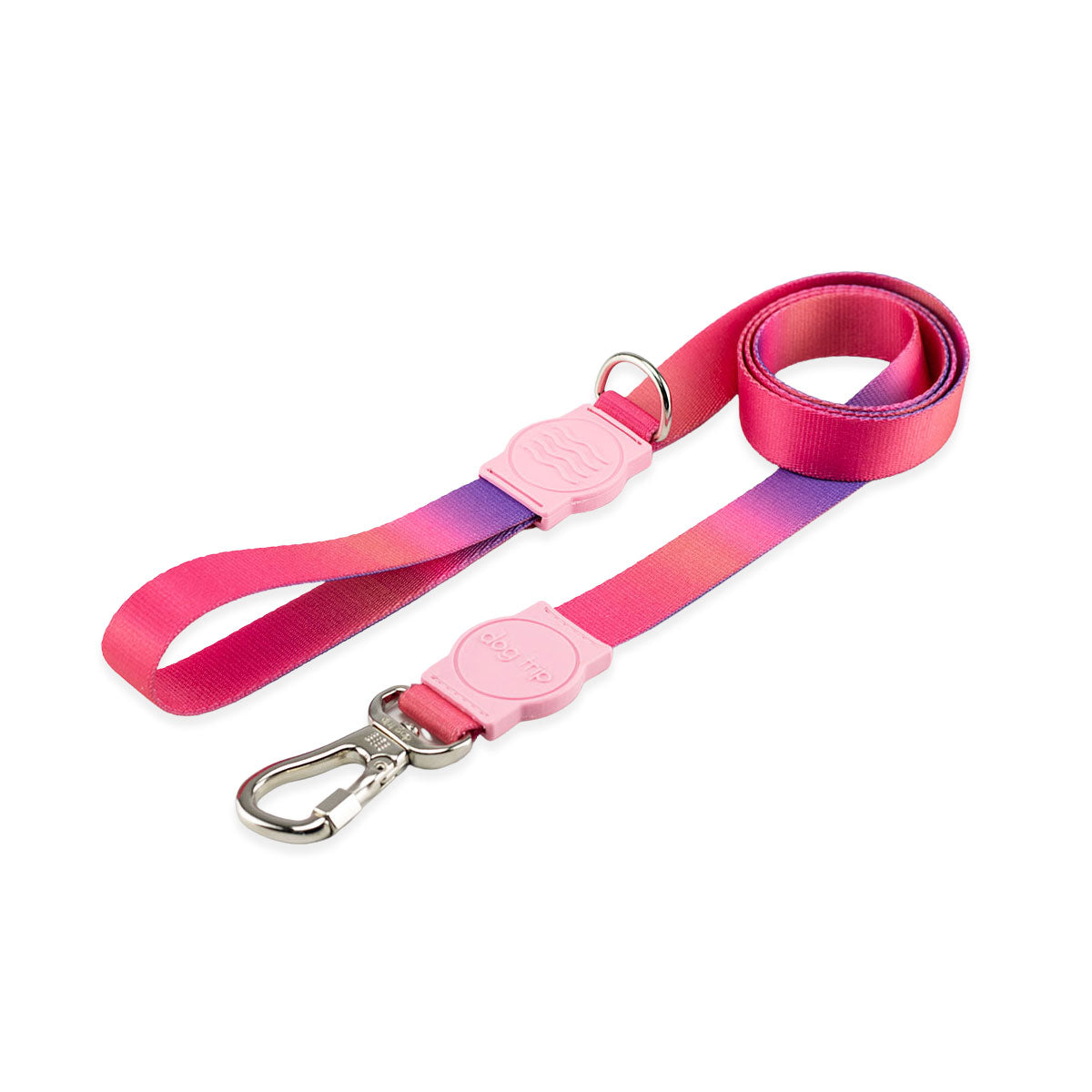 Guia para Cachorros Dog Trip Brasil