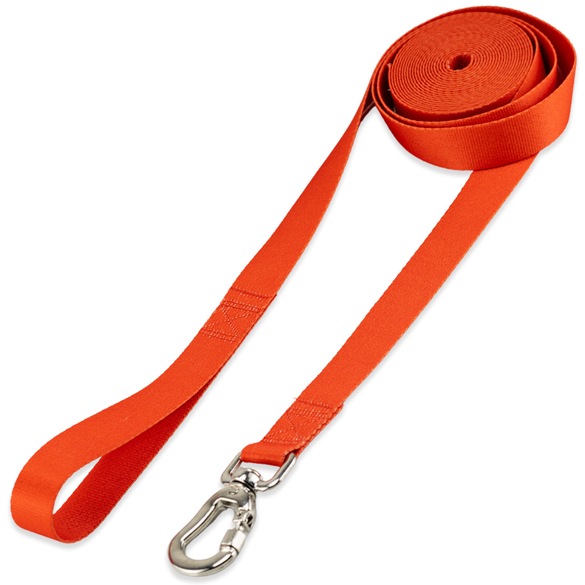 Guia Longa 10 Metros para Cachorros Basic Pet