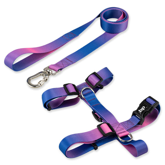 Kit Guia Padrão + Peitoral H Basic Pet