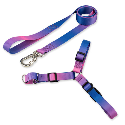 Kit Guia Padrão + Peitoral Antipuxão Basic Pet