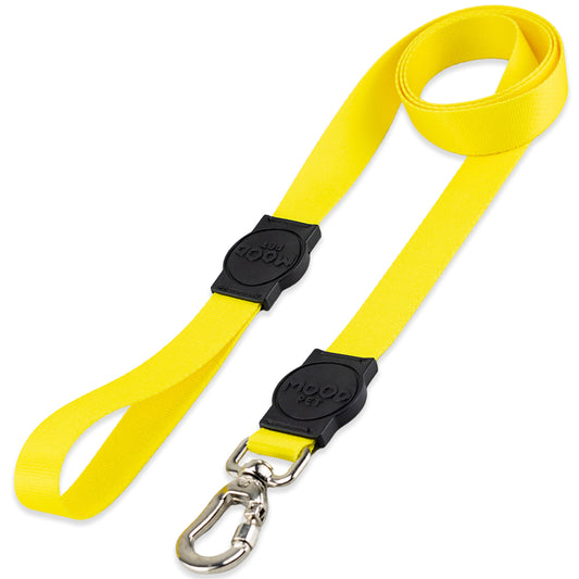 Guia para Cachorros Yellow Mood Pet