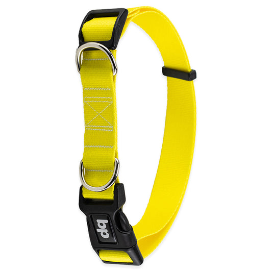 Coleira para Cachorros Amarelo Basic Pet