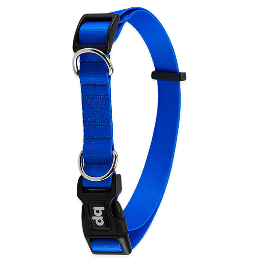 Coleira para Cachorros Azul Basic Pet