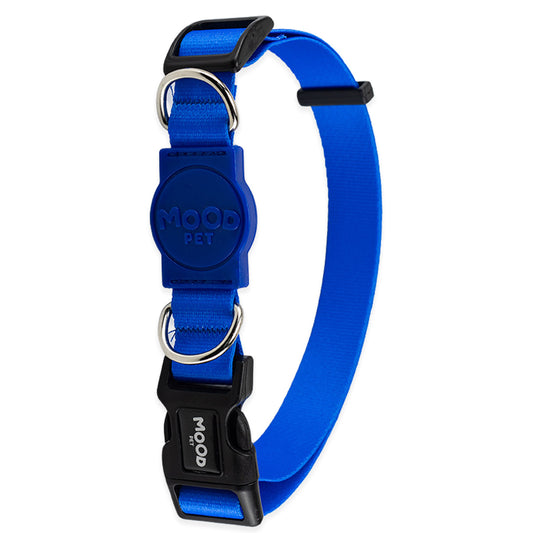 Coleira para Cachorros Blue Mood Pet