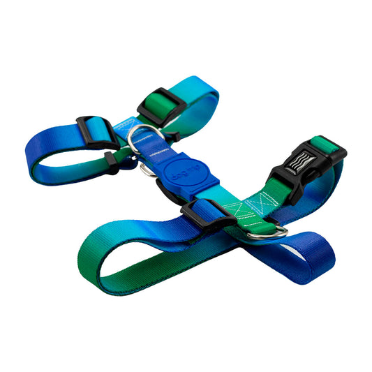 Peitoral para Cachorros H Smart Bangli Dog Trip Brasil
