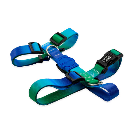 Peitoral para Cachorros H Bangli Dog Trip Brasil