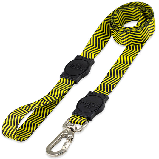 Guia para Cachorros Bee Mood Pet