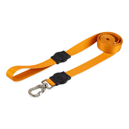 Guia Longa 2 Metros para Cachorros Caramel Mood Pet