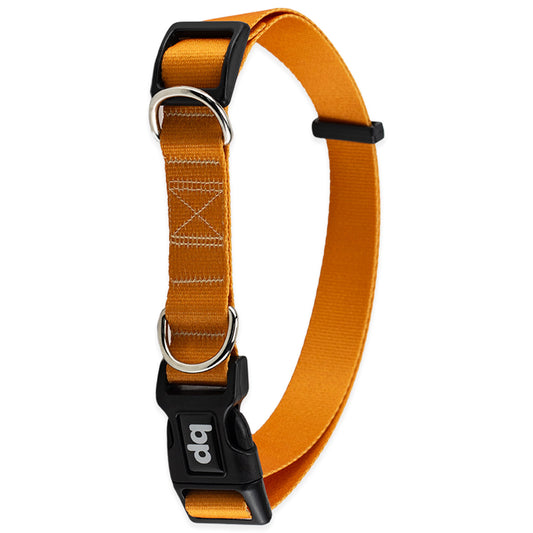 Coleira para Cachorros Caramelo Basic Pet