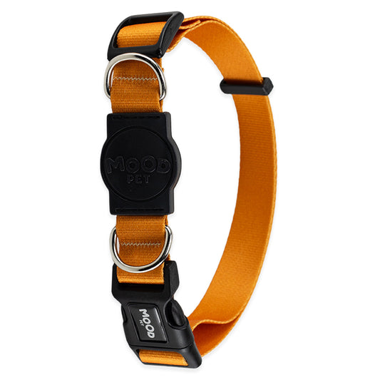 Coleira para Cachorros Caramel Mood Pet