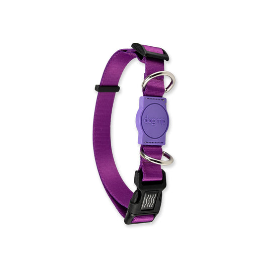 Coleira para Cachorros Purple Dog Trip Brasil
