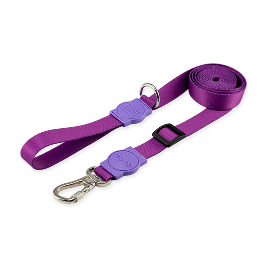 Guia Retrátil para Cachorros Purple Dog Trip Brasil