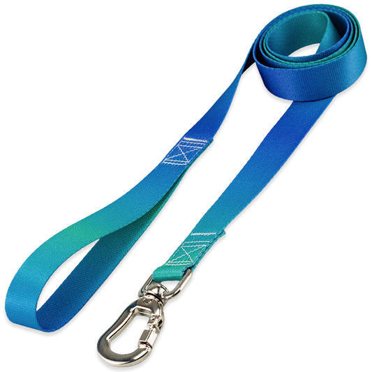 Guia para Cachorros Lake Basic Pet
