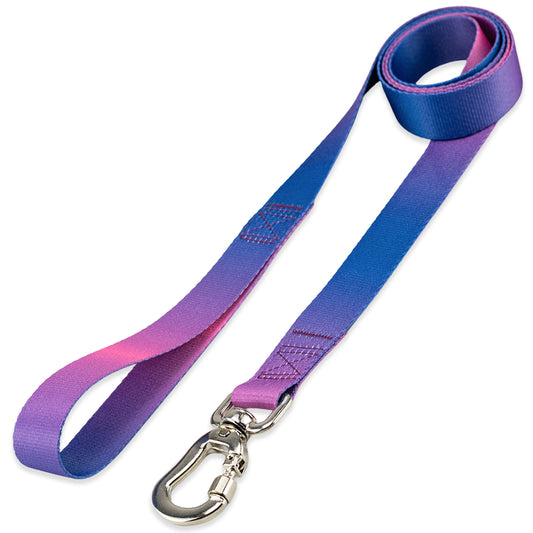 Guia para Cachorros Lily Basic Pet