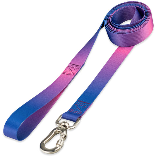 Guia Longa 2 Metros para Cachorros Lily Basic Pet