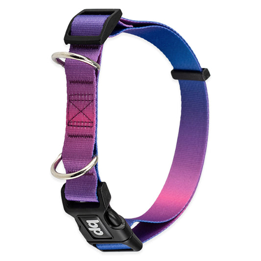 Coleira para Cachorros Lily Basic Pet