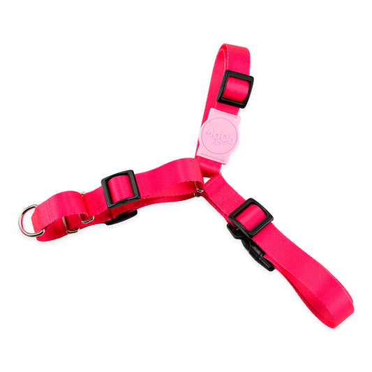 Peitoral para Cachorros Antipuxão Rose Mood Pet