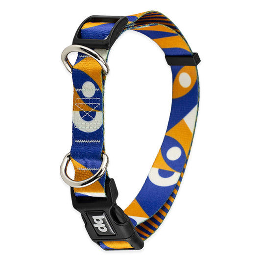 Coleira para Cachorros Moss Basic Pet