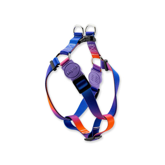 Peitoral para Cachorros Americano Dog Trip Brasil