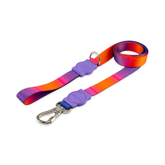 Guia para Cachorros Dog Trip Brasil