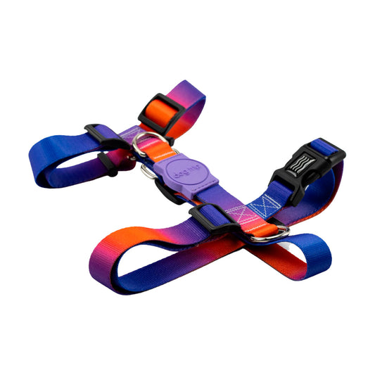 Peitoral para Cachorros H Smart Padang Dog Trip Brasil