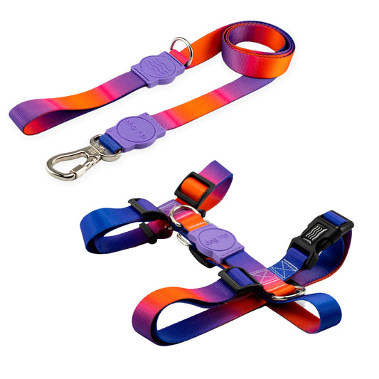 Kit Guia Padrão + Peitoral H Smart Dog Trip Brasil