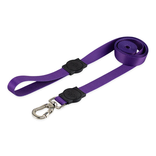 Guia Longa 2 Metros para Cachorros Purple Mood Pet