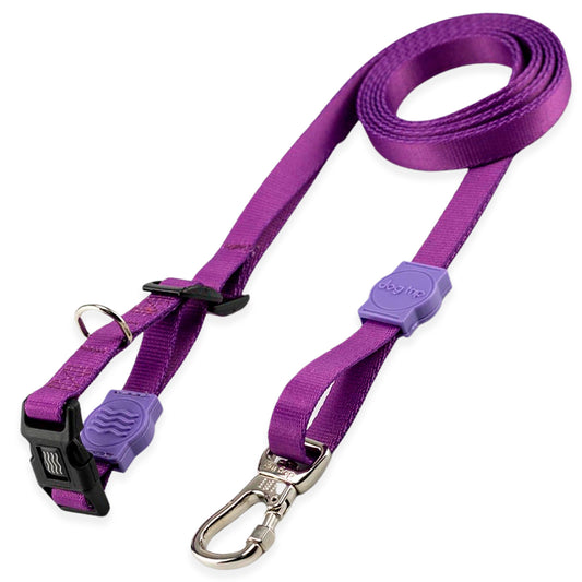 Guia Mãos Livres para Cachorros Purple Dog Trip Brasil
