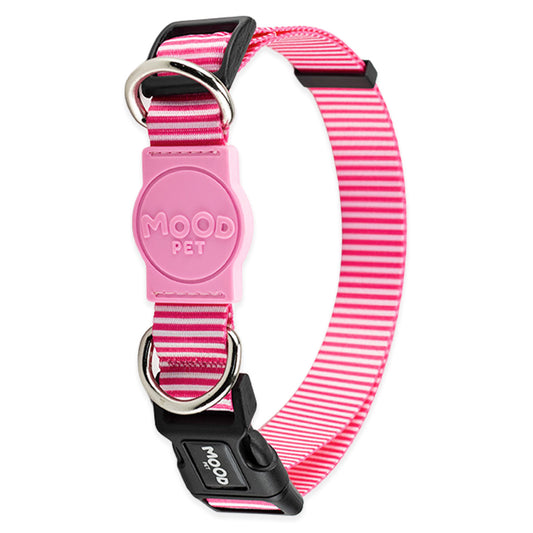 Coleira para Cachorros Queens Mood Pet