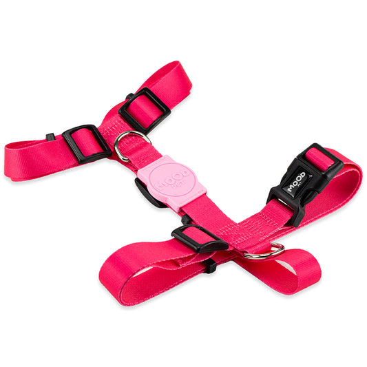 Peitoral para Cachorros H Rose Mood Pet