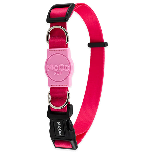 Coleira para Cachorros Rose Mood Pet