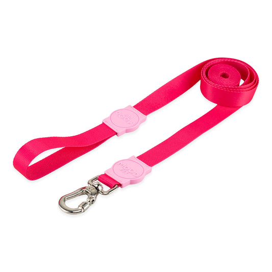 Guia Longa 2 Metros para Cachorros Rose Mood Pet