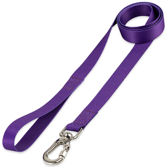Guia para Cachorros Roxo Basic Pet
