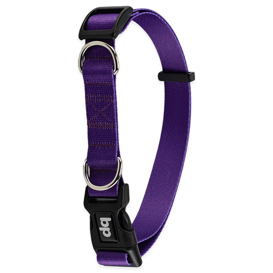 Coleira para Cachorros Roxo Basic Pet