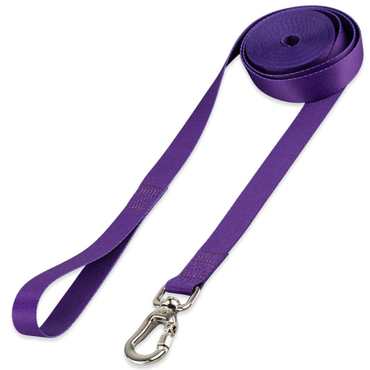 Guia Longa 10 Metros para Cachorros Roxo Basic Pet