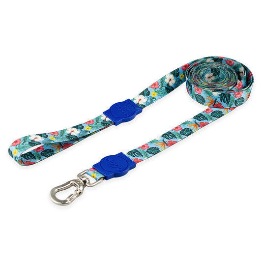 Guia Longa 5 Metros para Cachorros Sunny Blue Mood Pet