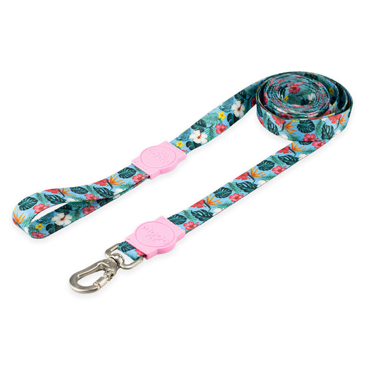 Guia Longa 5 Metros para Cachorros Sunny Rose Mood Pet