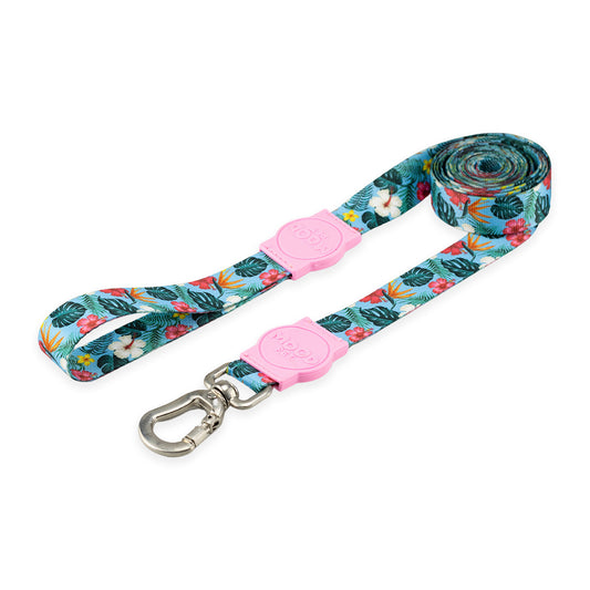 Guia Longa 2 Metros para Cachorros Sunny Rose Mood Pet