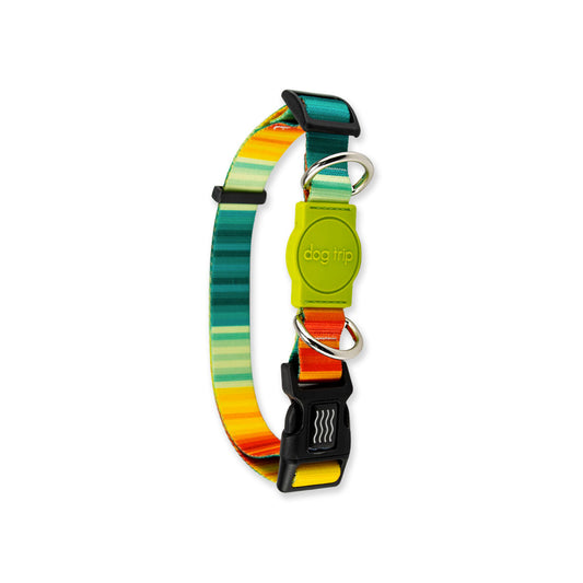 Coleira para Cachorros Sunset Dog Trip Brasil