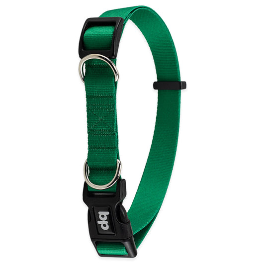 Coleira para Cachorros Verde Basic Pet